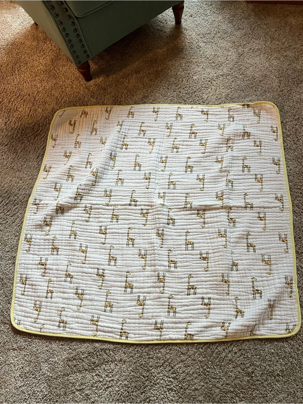 Aden + Ana is Muslin Quilted Blanket